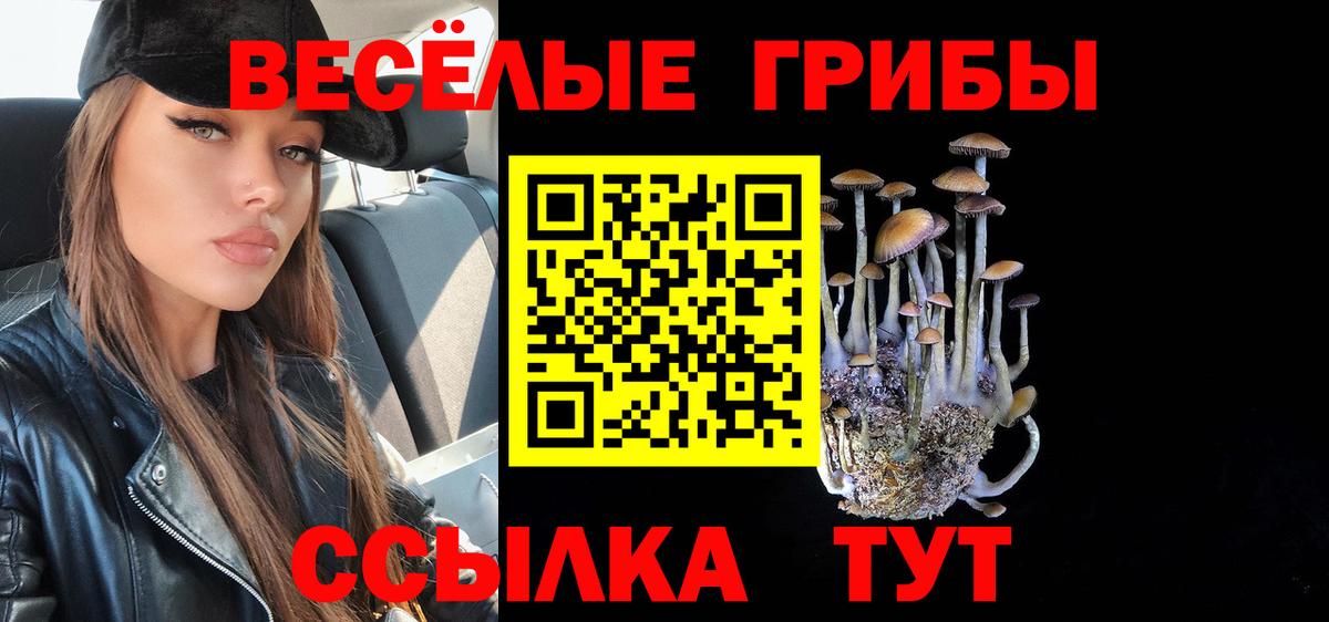 Галлюциногенные грибы Psilocybe Сызрань